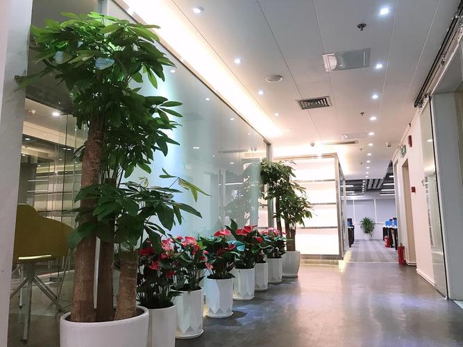 深圳市全品国际旅行社 深耕深圳旅游市场的专业地接服务商