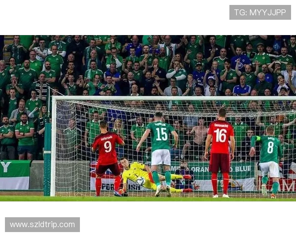 北爱尔兰与挪威足球对决前瞻分析及比赛结果预测